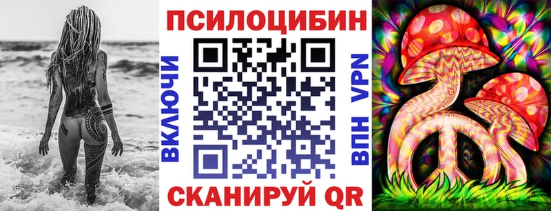 Галлюциногенные грибы MAGIC MUSHROOMS  даркнет наркотические препараты  Новоржев 